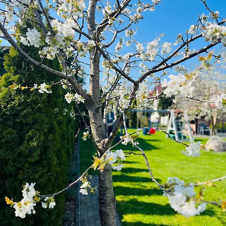 Zatoka Wypoczynku - Dwupoziomowe Apartamento Grzybowo (West Pomeranian)